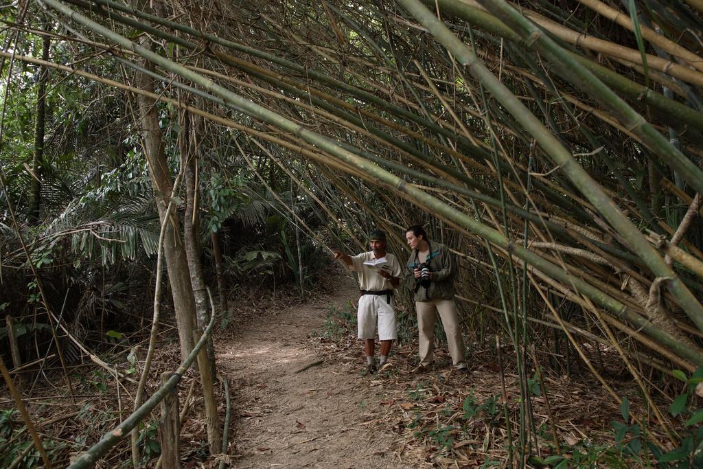Tanjong Jara Resort, Terengganu - A Small Luxury Hotels Of The World Dungun Exterior photo Bamboo forest in the park