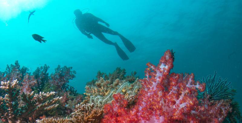 Tanjong Jara Resort, Terengganu - A Small Luxury Hotels Of The World Dungun Exterior photo Scuba diving in the Red Sea